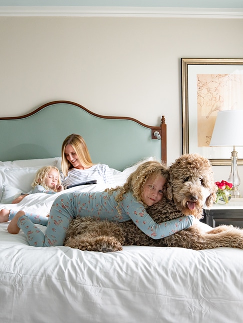 Luxury pet-friendly accommodations throughout our property. - The Windsor Court