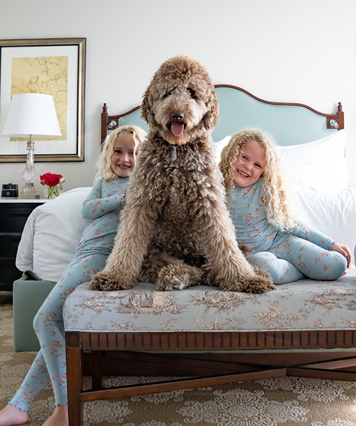 The Pampered Pets Program - The Windsor Court