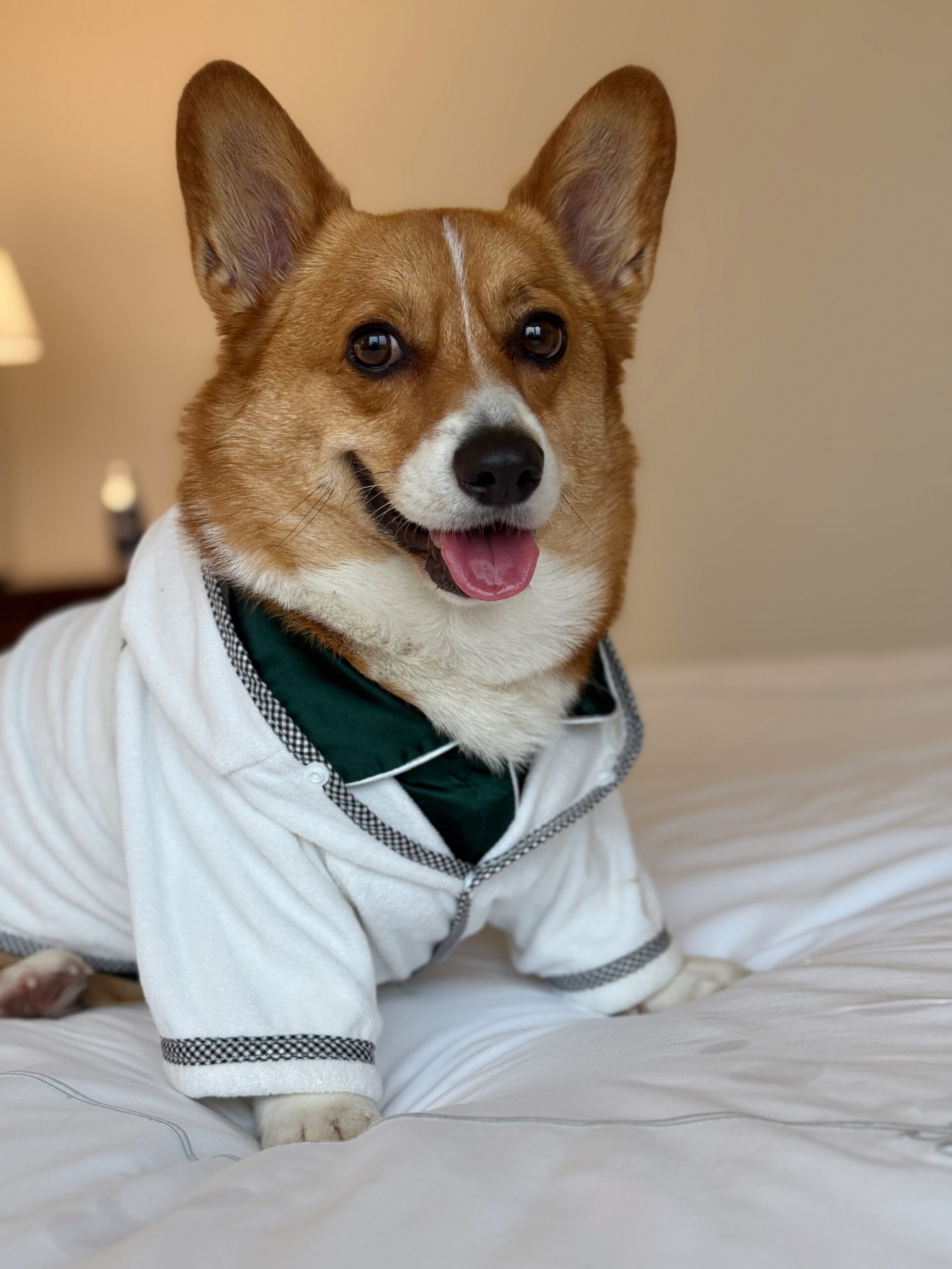 Explore Holidays at The Windsor Court