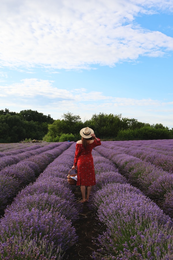 New Spa Treatments for Spring! - The Windsor Court